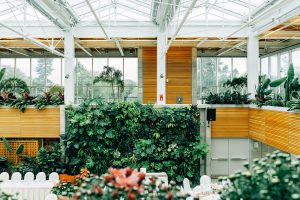 scott-webb-320624-unsplash